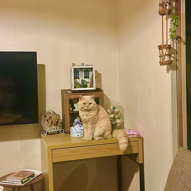 naokoさんの実例写真