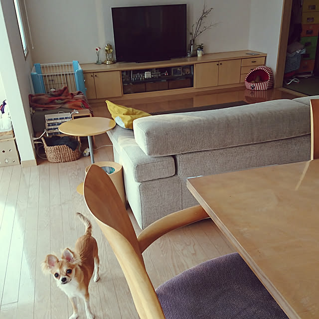 nattimomoさんの実例写真