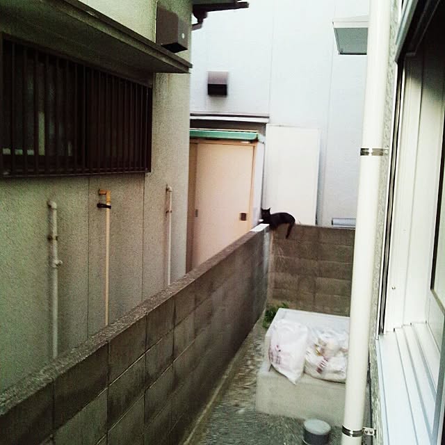 RIN5さんの実例写真
