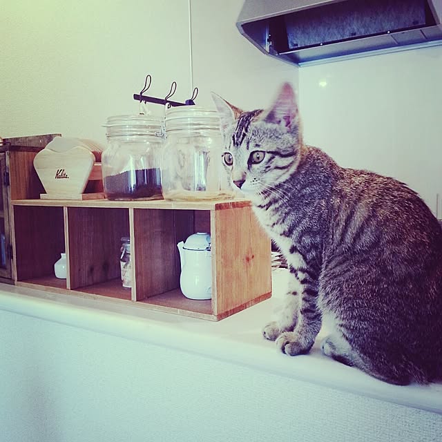 Sayakaさんの実例写真