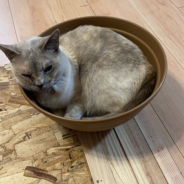 kiyohima229さんの実例写真