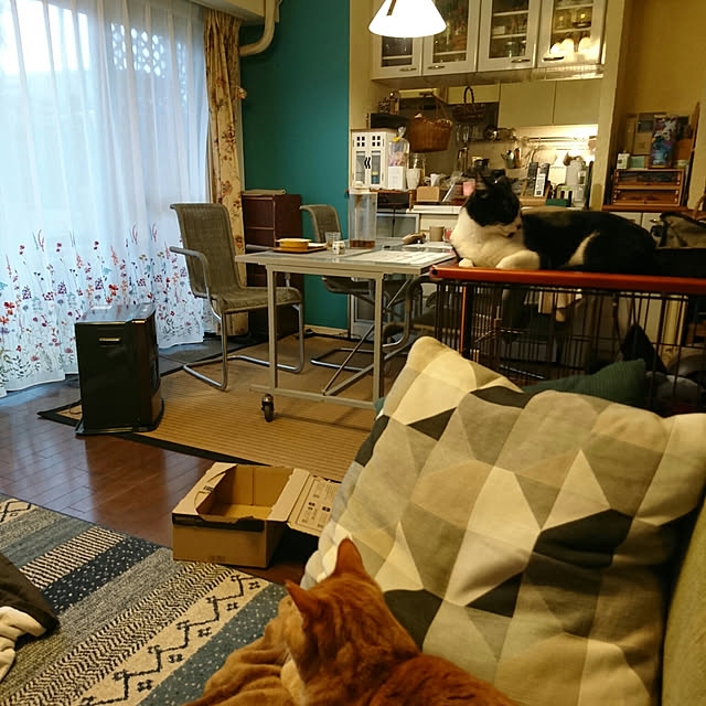 okyosan101さんの実例写真