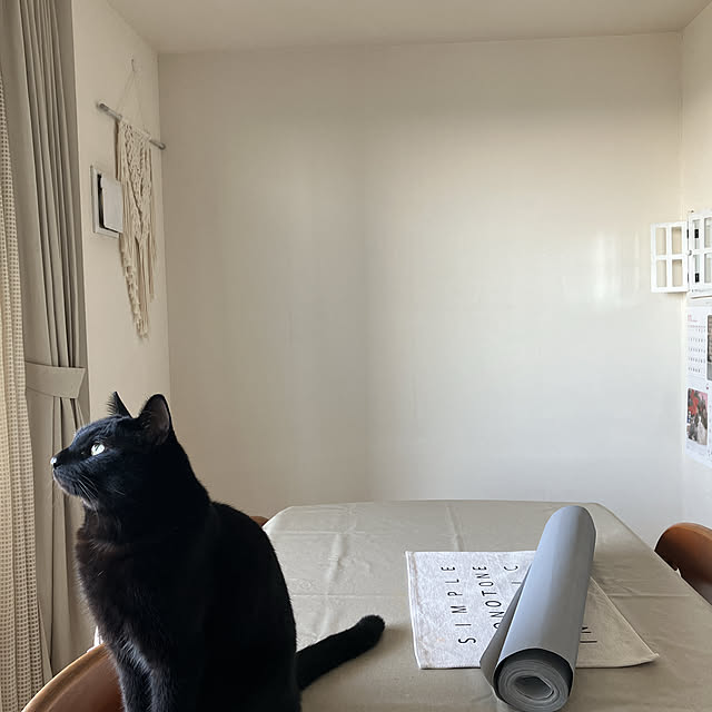 nekomiさんの部屋