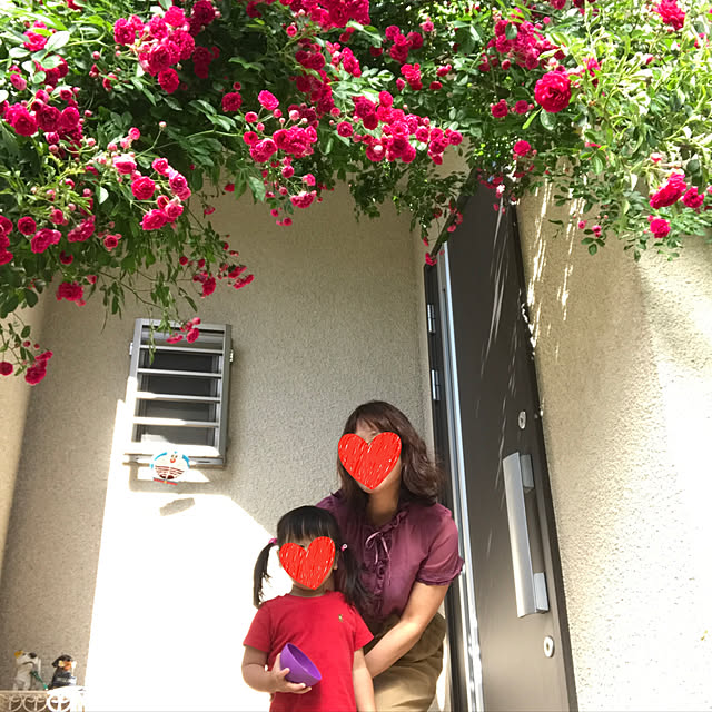 roserose555さんの実例写真