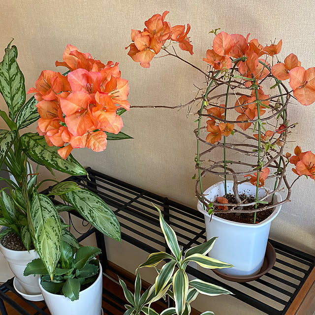 yukoさんの部屋