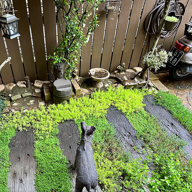 tabasaさんの部屋