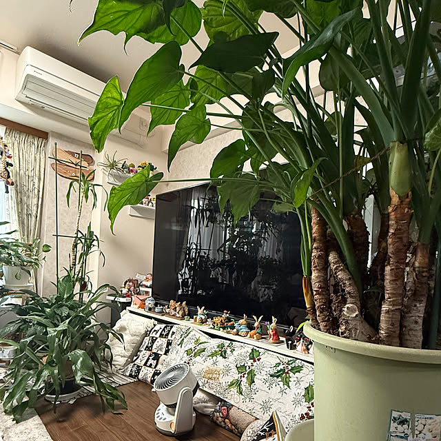 Aqettyさんの実例写真