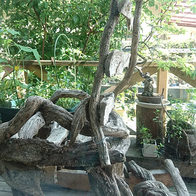 rinamukinさんの実例写真