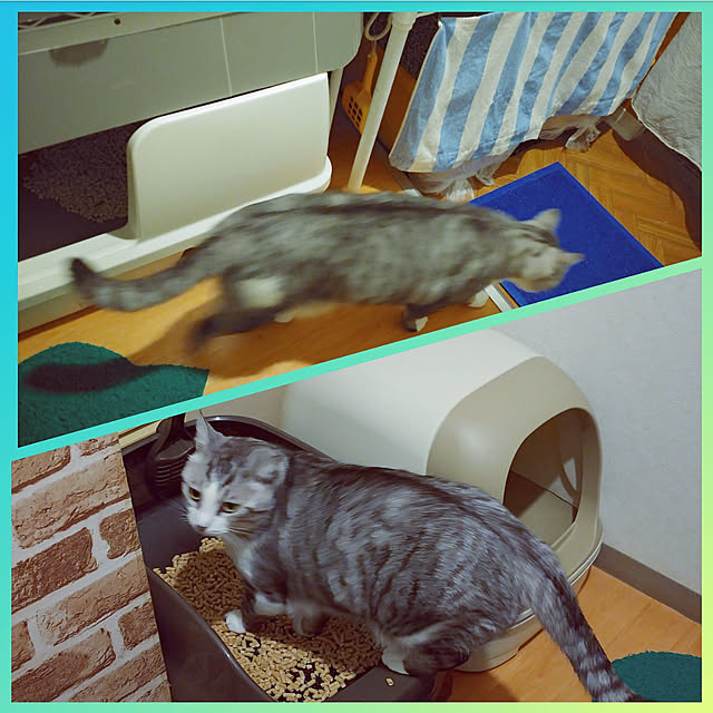 mntcさんの実例写真