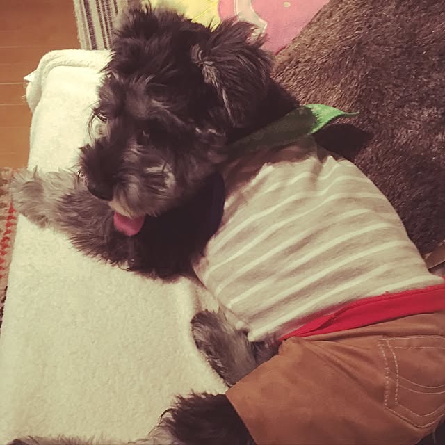 Mikaさんの実例写真