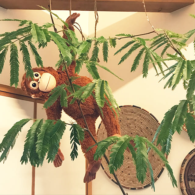 mm319さんの実例写真