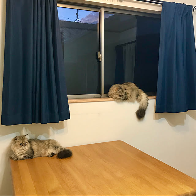 butachanさんの実例写真
