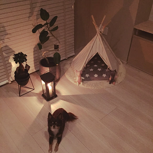 M.H.Lさんの実例写真