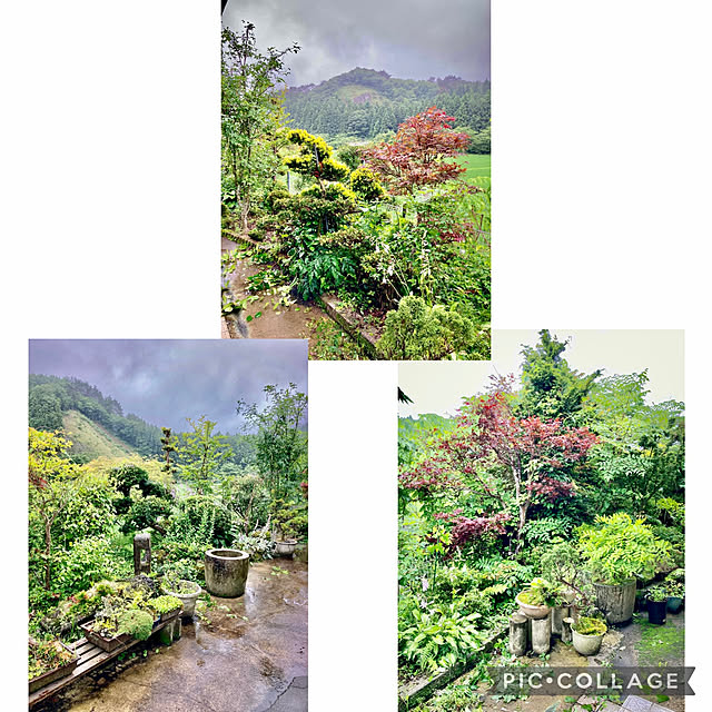 CoCo0617さんの実例写真