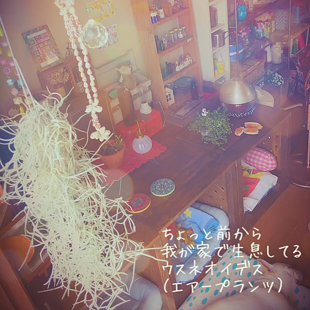 38coreさんの実例写真