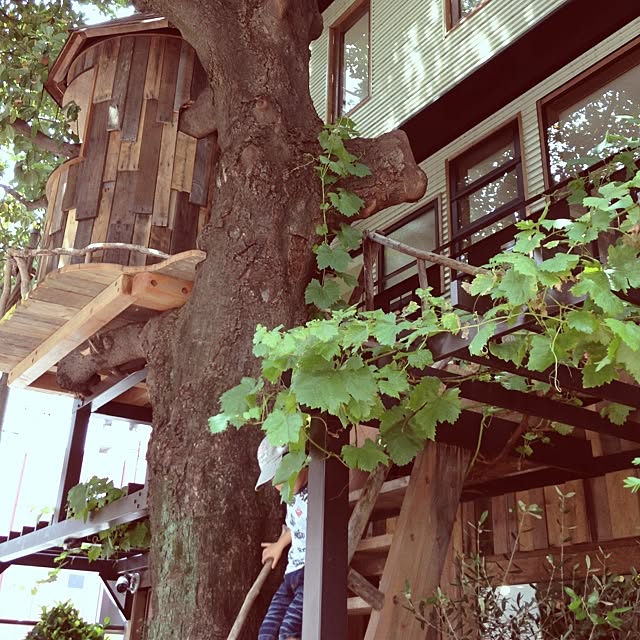 megさんの実例写真
