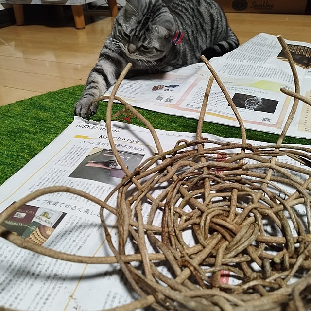 hiro3さんの部屋