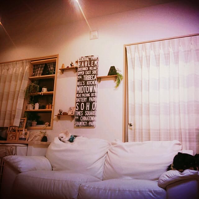 asa.haruaoさんの実例写真