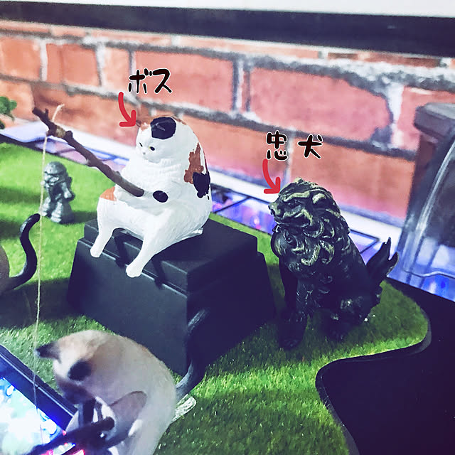 maroさんの実例写真