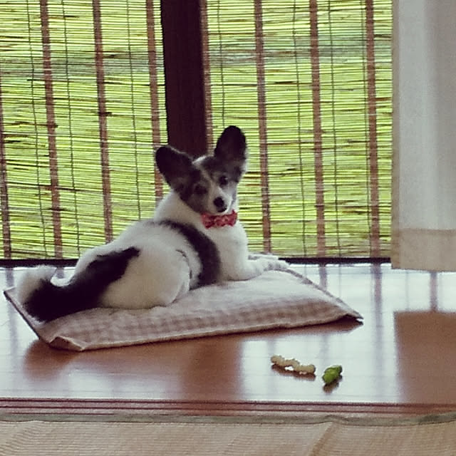 mariさんの実例写真