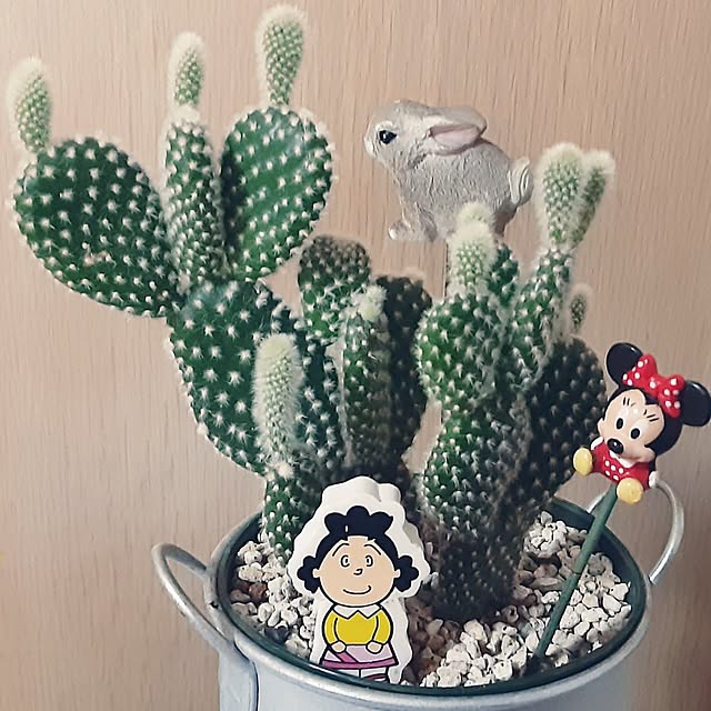 katさんの部屋