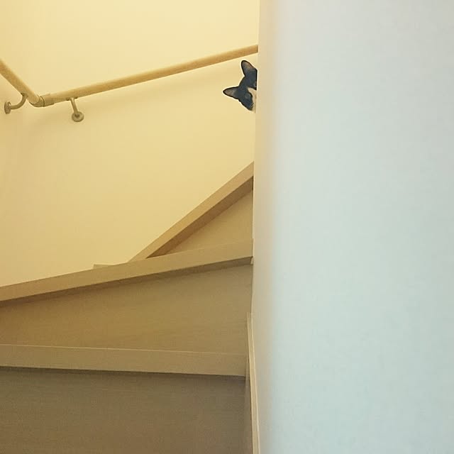 ichisanさんの実例写真