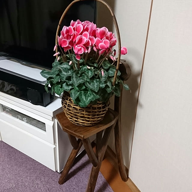 kanamiさんの実例写真