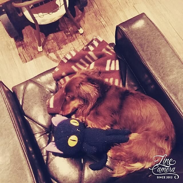 Kiyoeさんの実例写真