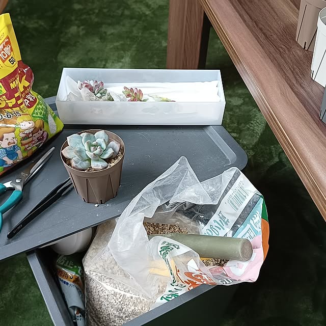 soyokoさんの実例写真