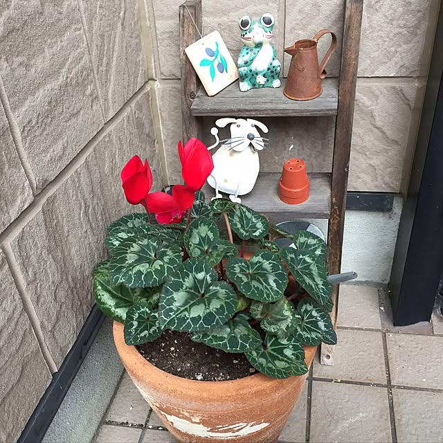 ronさんの実例写真