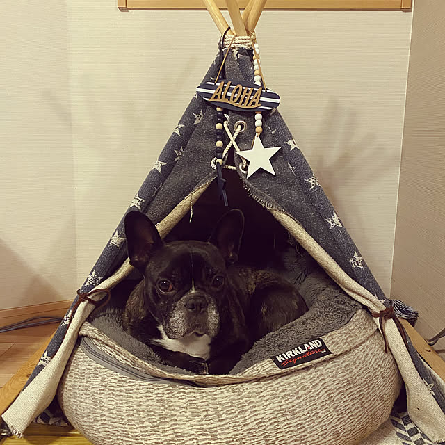 tooruさんの実例写真