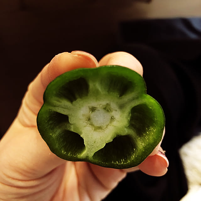 cocoaさんの実例写真