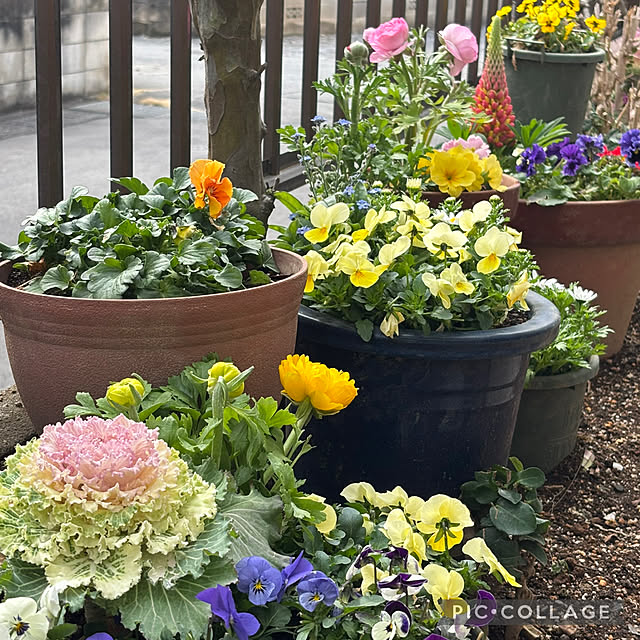 Smilkazuさんの部屋