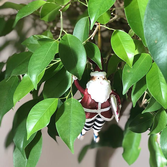 saraさんの実例写真