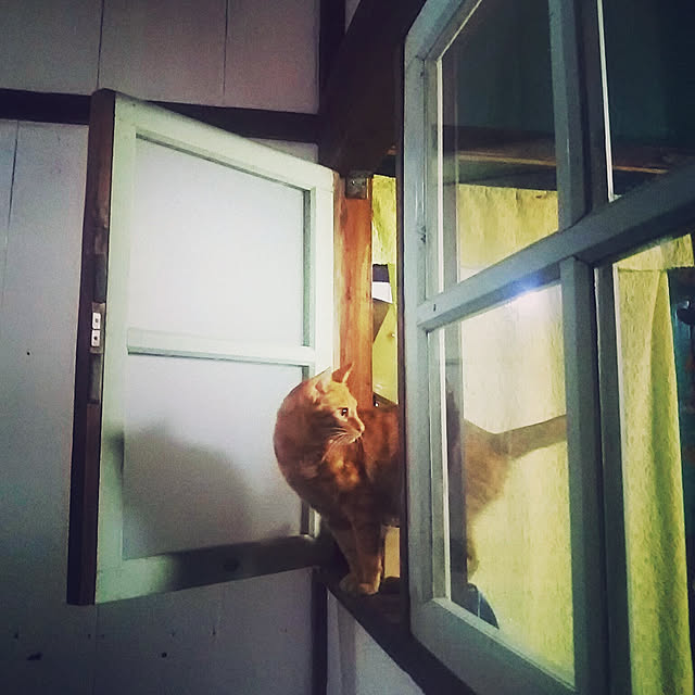 kayomiさんの実例写真
