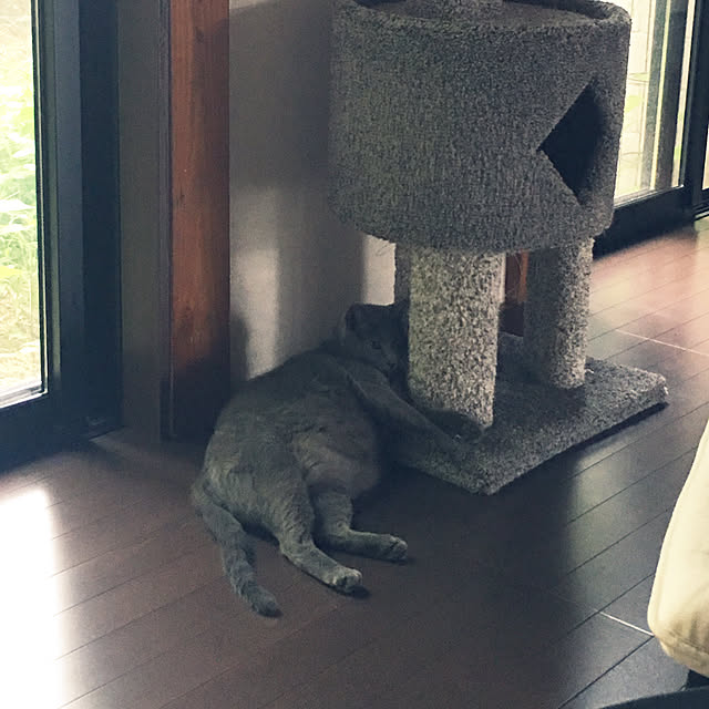 vivi.824さんの実例写真