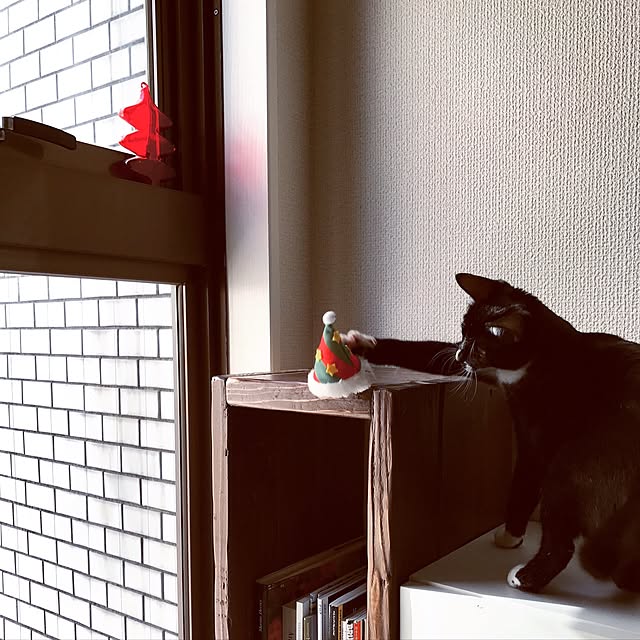 ____Mukさんの実例写真