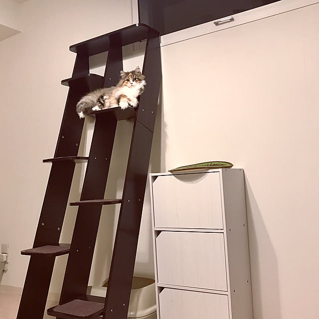 akさんの実例写真