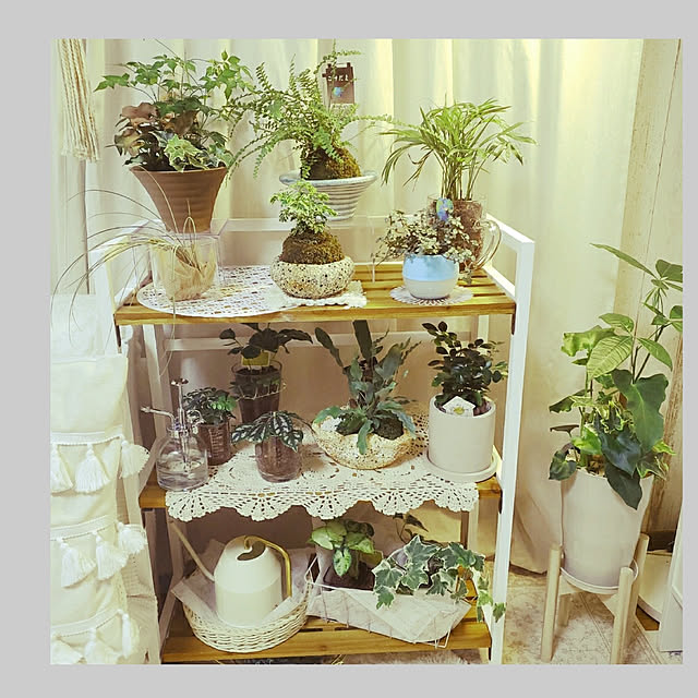 cocoaさんの実例写真