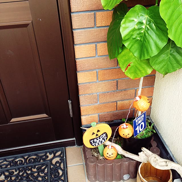 bambinoさんの実例写真