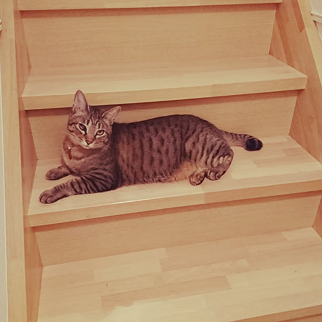 yukakuroさんの実例写真