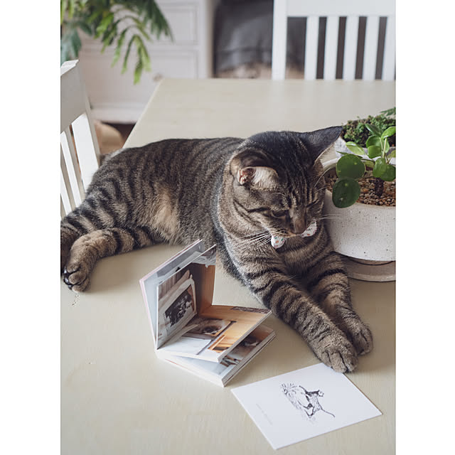 oliveさんの部屋