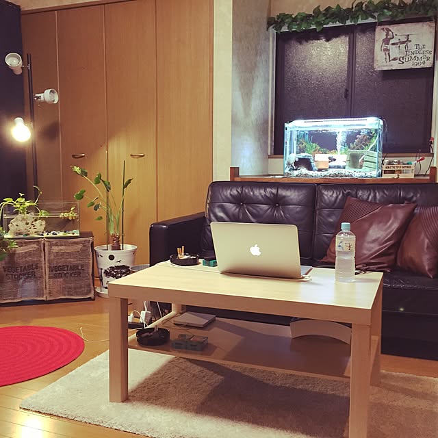takaさんの実例写真