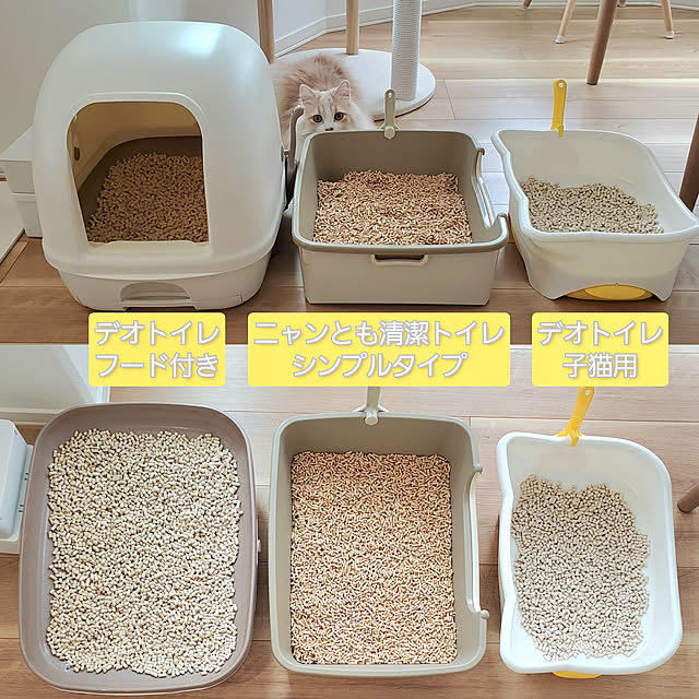annyaさんの実例写真