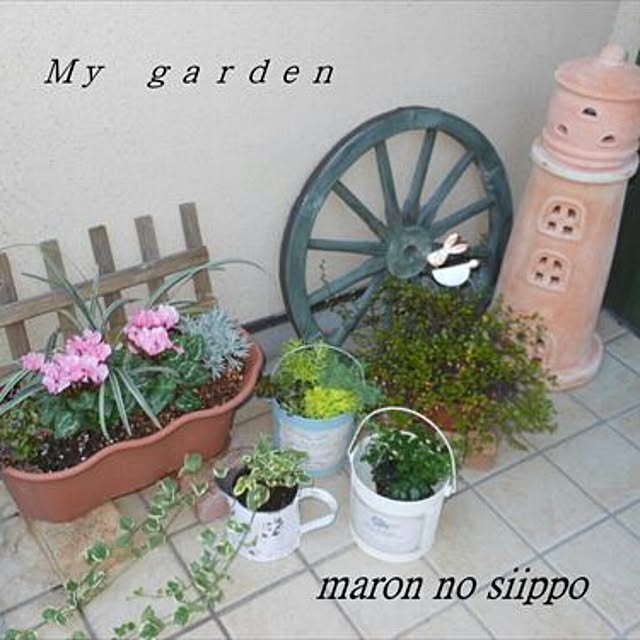 marorinさんの実例写真