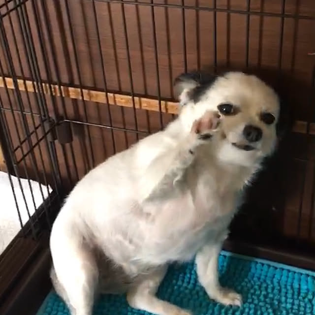 ohanaさんの実例写真