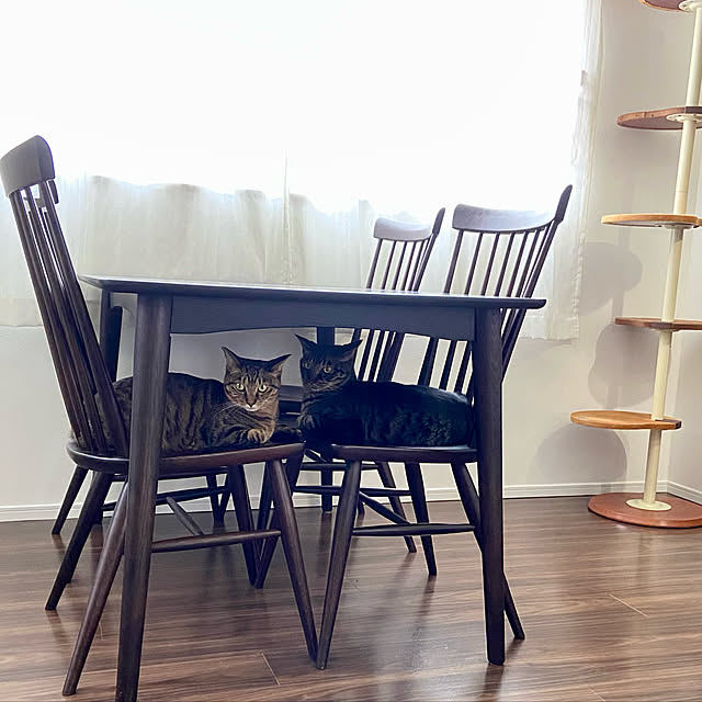 kouさんの実例写真