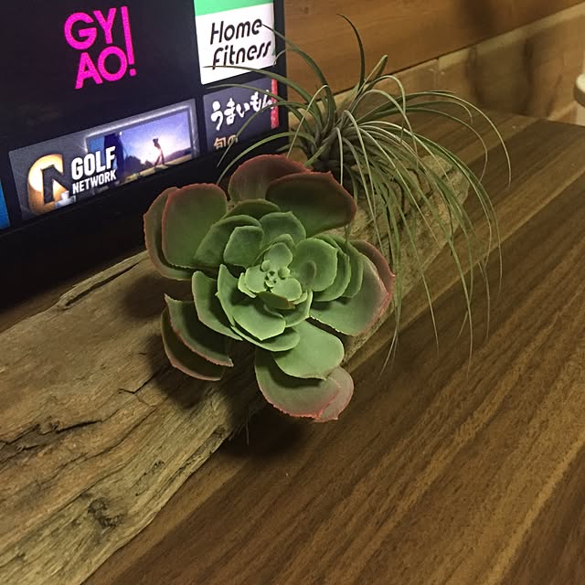 実例写真