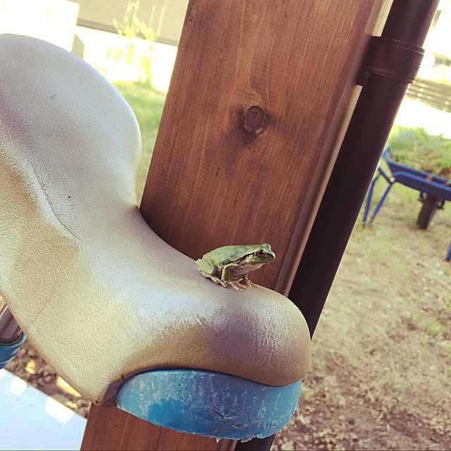 seiさんの実例写真