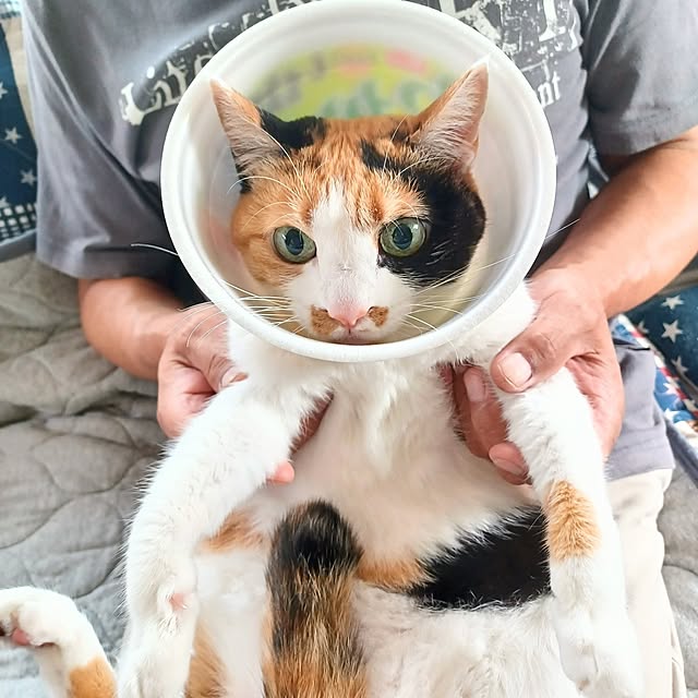 nanaさんの部屋